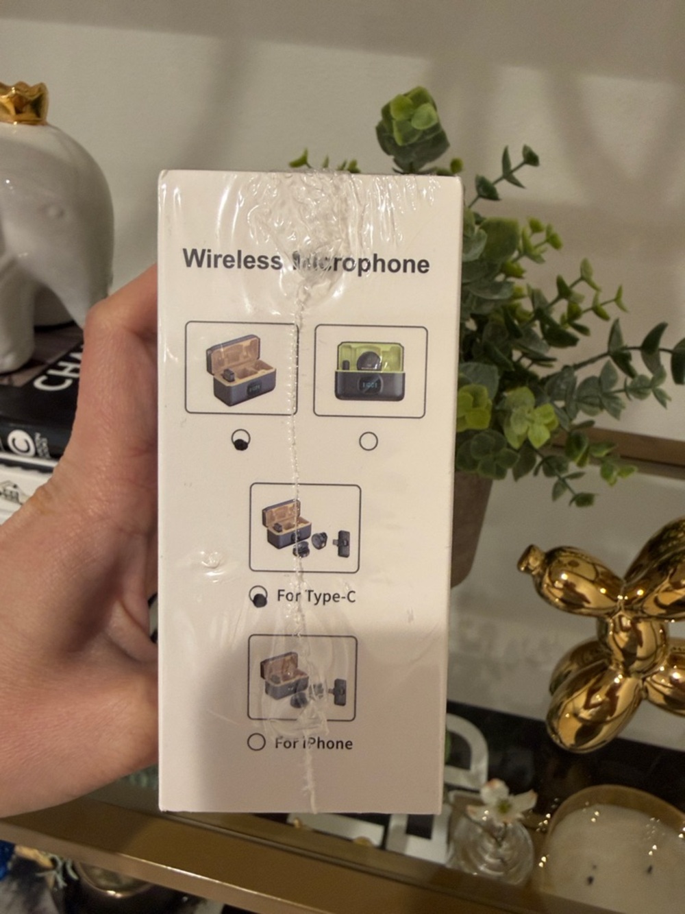 Wireless Microphone - Picture 9 of 13